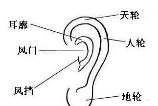 耳垂有線面相|从耳朵看面相｜5点耳朵形状及特征，一窥性格与运